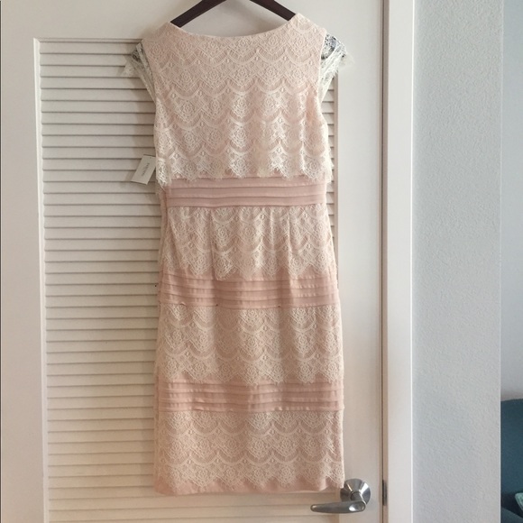 Sangria Lace Cap Sleeve Dress from David’s Bridal - Picture 6 of 8